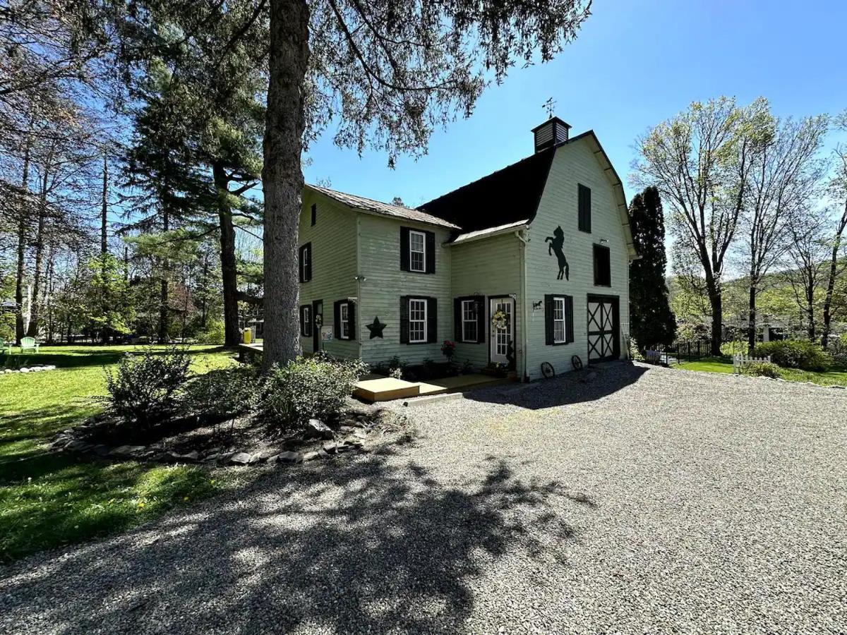 18 Vine Inn & Carriage House Hammondsport Extérieur photo